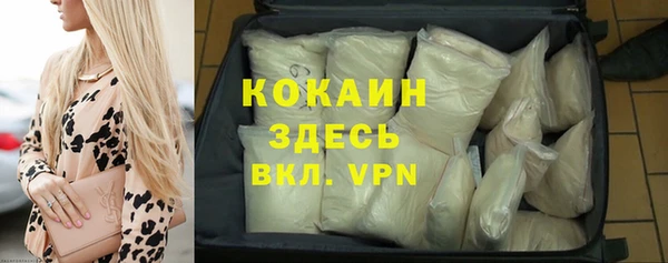 крисы Магас