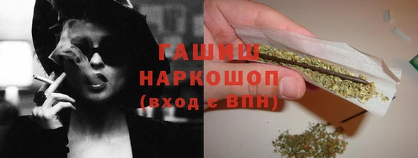 крисы Магас