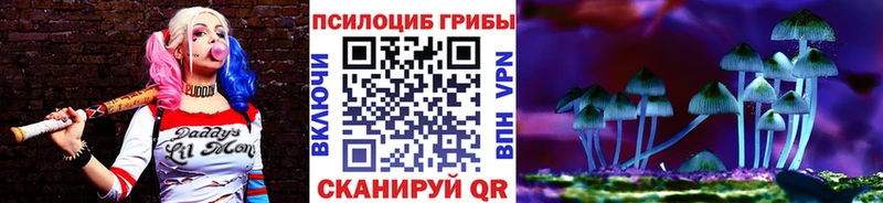 blacksprut ССЫЛКА  Стерлитамак  Псилоцибиновые грибы мухоморы 
