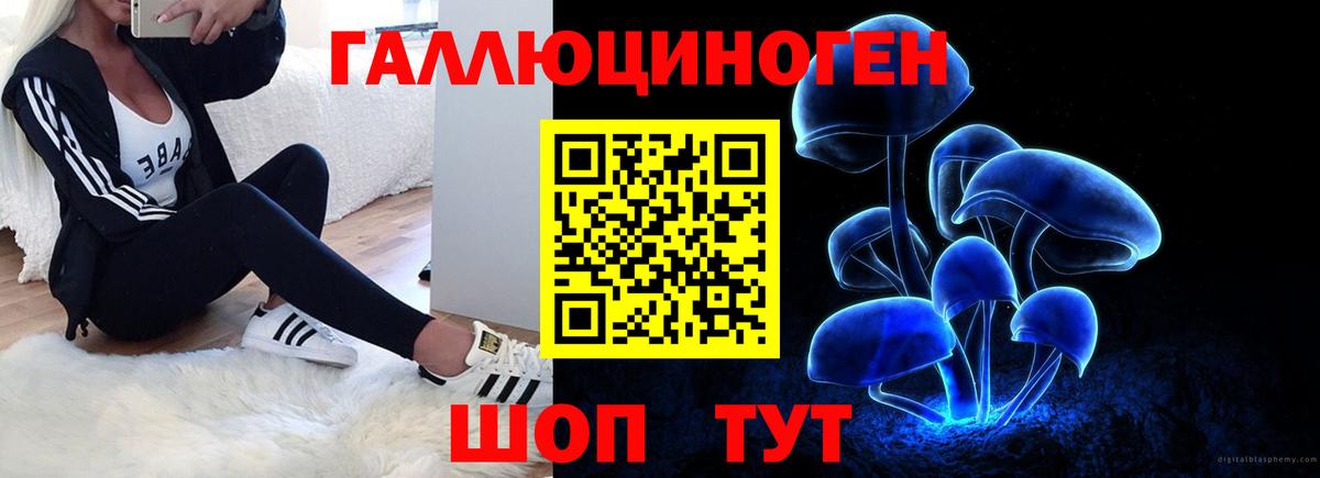 Стерлитамак  купить наркотики сайты  Вход с VPN  Галлюциногенные грибы Psilocybine cubensis 