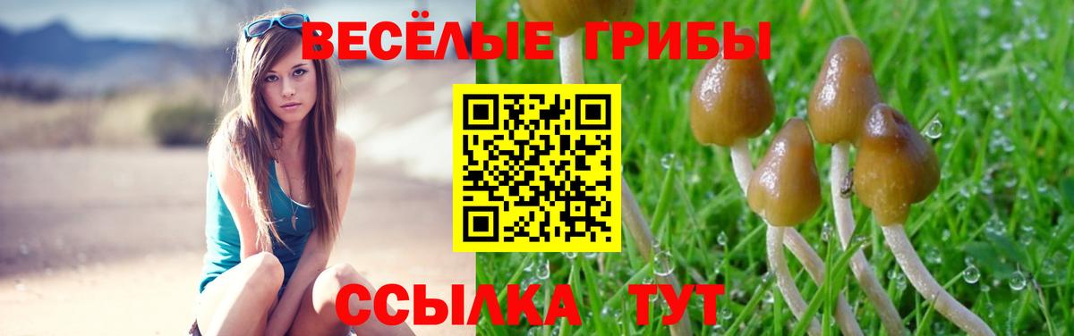 Галлюциногенные грибы Psilocybine cubensis Стерлитамак