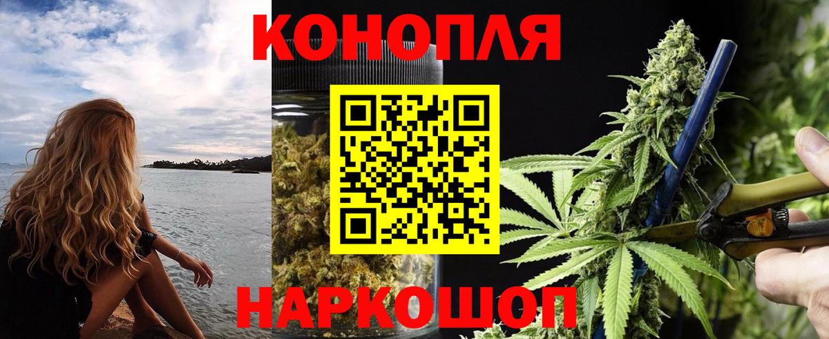 Шишки марихуана конопля  Вход с VPN  Марихуана план  Стерлитамак  Бошки Шишки ГИДРОПОН 